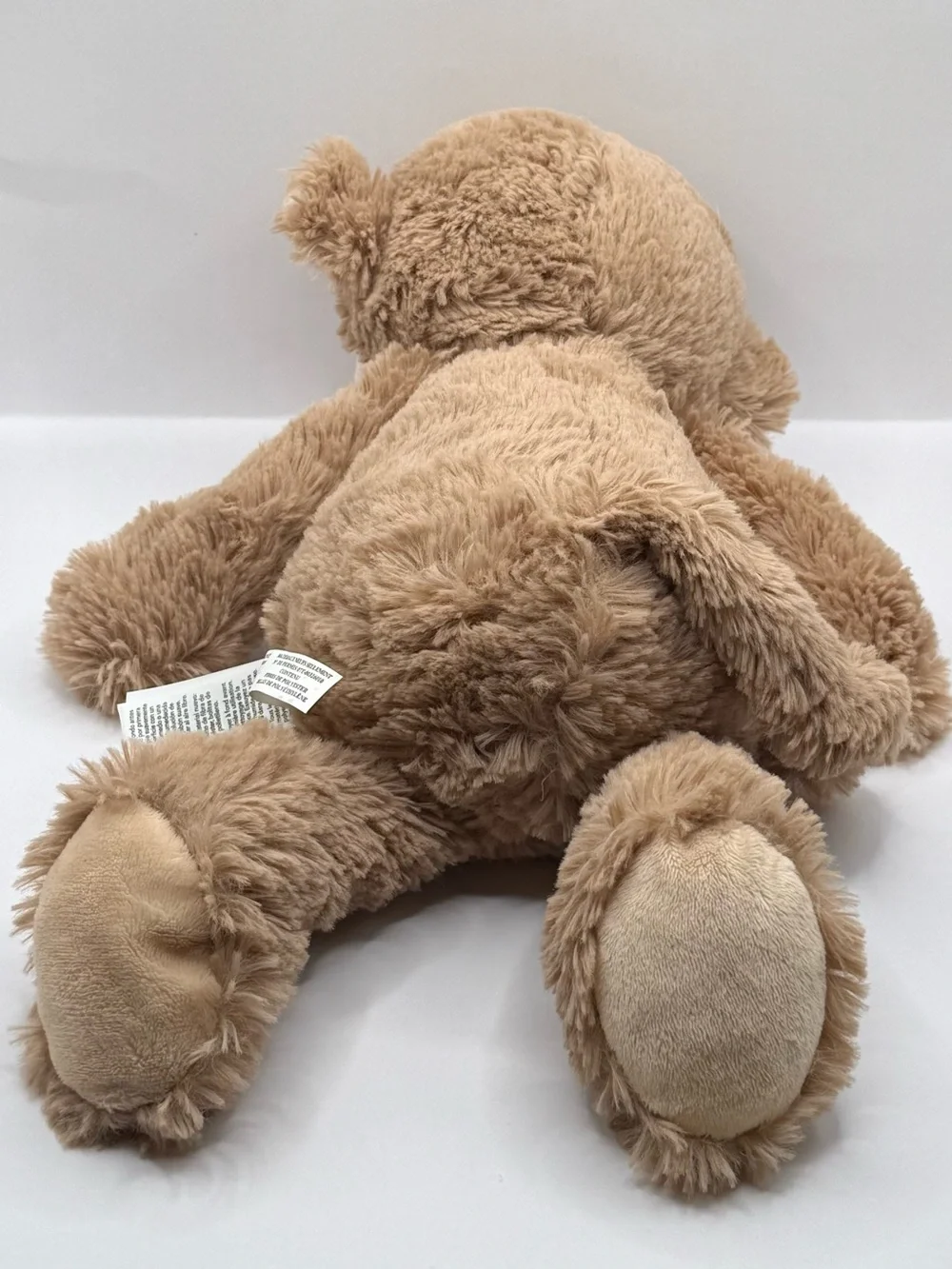Carters carter monkey